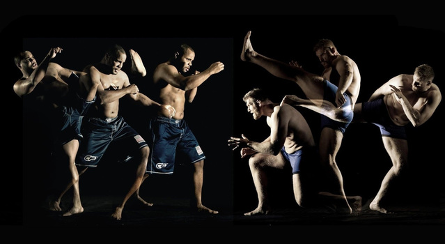 Единоборства