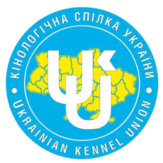 Бердичівський міський осередок 